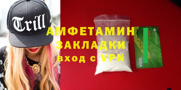 прущие грибы Бородино