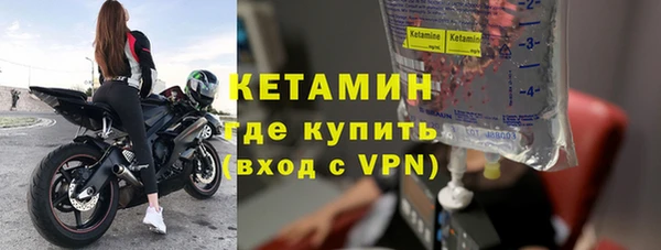 прущие грибы Бородино
