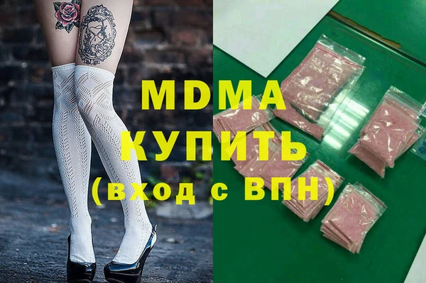 прущие грибы Бородино